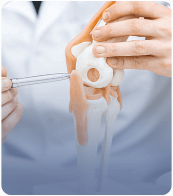 Joint  Replacement