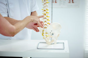 orthopedic doctor explains patient using plastic model