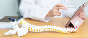 Orthopedic specialist with a human spine anatomy model on his desk, holding a tablet in one hand and explaining degenerative disc disease.